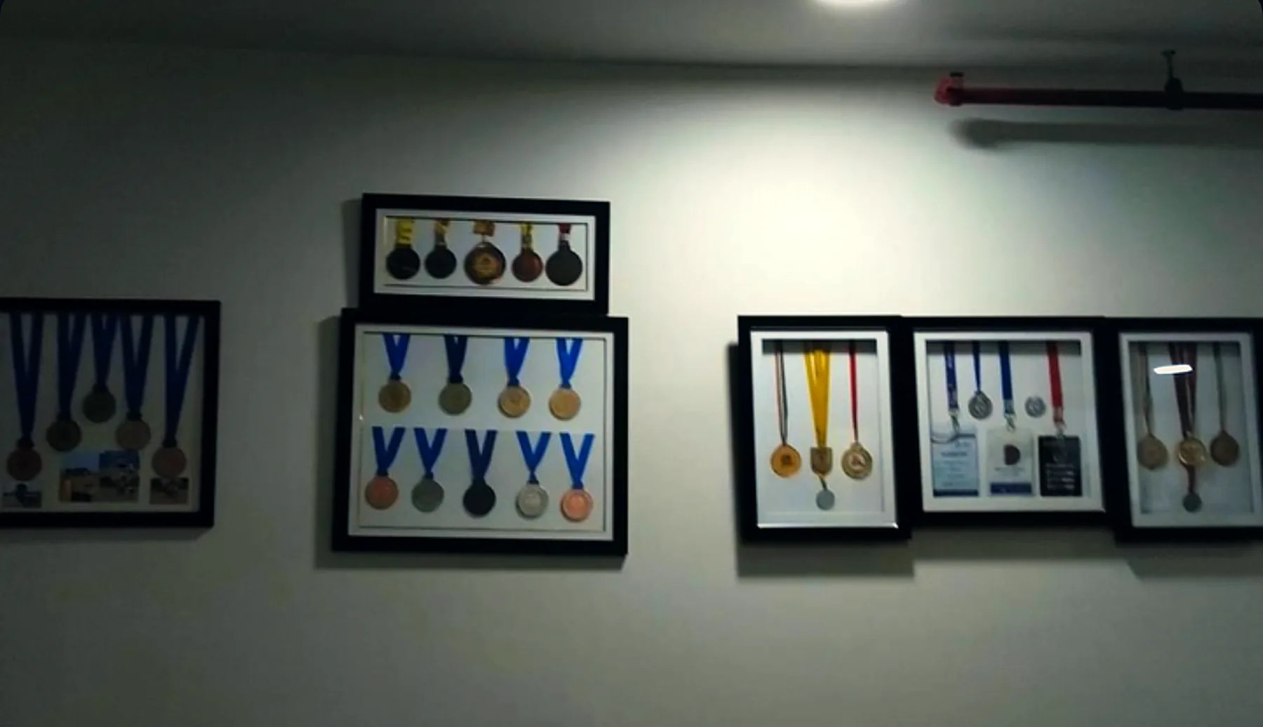 Framed medals hanging in a row on a wall